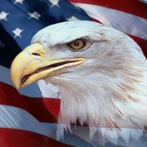 Meet your Posher, Andy